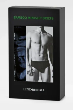 Briefs