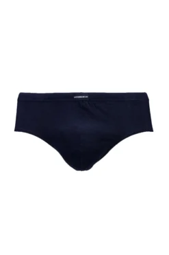 Briefs